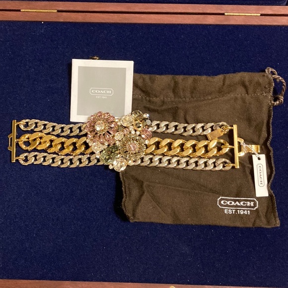 NWT Coach multicolored rhinestone heart pendant & silver/gold LG link bracelet - Picture 1 of 16